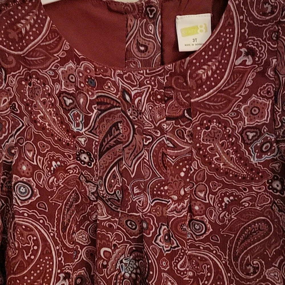Crazy 8, Adorable girls 3T, burgundy paisley dress.